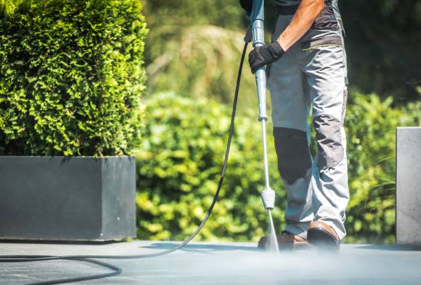 Boat and Dock Cleaning in White Rock, NM